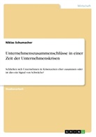 Niklas Schumacher - Unternehmenszusammenschlüsse in einer Zeit der Unternehmenskrisen