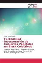 Felipe Toledo Quijada - Factibilidad Incorporación de Cubiertas Vegetales en Block Colectivos