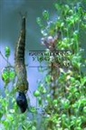 Fernando Cobo Gradín, Marcos González González - Macroinvertebrados de las aguas dulces de Galicia