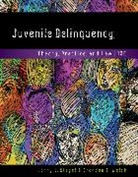 Larry Siegel, Larry (University of Massachusetts Siegel, Brandon Welsh, Brandon (Northeastern University) Welsh - Juvenile Delinquency