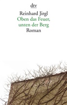 Reinhard Jirgl - Oben das Feuer, unten der Berg