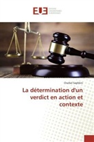 Charbel Saghbini - La détermination d'un verdict en action et contexte