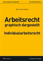 Peter Döller - Arbeitsrecht graphisch dargestellt (f. Österreich)