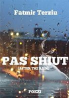 Fatmir Terziu - PAS SHIUT (AFTER THE RAIN)