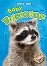 Megan Borgert-Spaniol - BABY RACCOONS