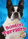 Christina Leaf - BOSTON TERRIERS