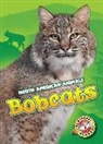 Christina Leighton - BOBCATS