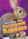 Christina Leighton - COTTONTAIL RABBITS