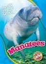 Rebecca Pettiford - Manatees