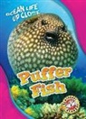 Rebecca Pettiford - Puffer Fish