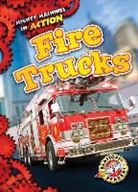 Chris Bowman - FIRE TRUCKS
