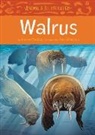 Hervae Paniaq, Herve Paniaq, Ben Shannon - Animals Illustrated: Walrus
