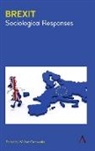 William Outhwaite, William Outhwaite - Brexit: Sociological Responses