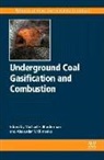 Michael Blinderman, Alexander Klimenko, Alexander (Director Klimenko, Alexander (University of Queensland Klimenko, Michael Blinderman, Michael S Blinderman... - Underground Coal Gasification and Combustion