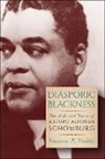 Vanessa Kimberly Valdaes, Vanessa K. Valdes, Vanessa K Valdés, Vanessa K. Valdés, Vanessa K. ValdTs - Diasporic Blackness