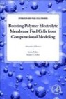 Alejandro A Franco, Alejandro A. Franco, Alejandro (Full Professor A. Franco, Franco - BOOSTING POLYMER ELECTROLYTE M