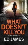 Ed James, Michael Page - What Doesn't Kill You (Hörbuch)