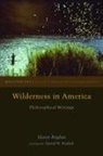 Henry Bugbee, Henry Greenwood Bugbee, Henry/ Rodick Bugbee, David Rodick, David W. Rodick - Wilderness in America