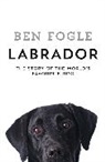 Ben Fogle - Labrador