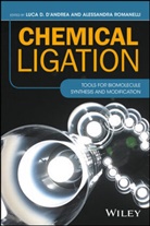 &amp;apos, Luca D Romanelli andrea, D&amp;apos, LD D'Andrea, Luca D'Andrea, Luca D D'Andrea... - Chemical Ligation