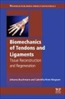 Gabrielle Meier Burgisser, Gabriella Meier Bürgisser, Gabrielle Meier Bürgisser, Johanna Buschmann, Johanna (University Hospital Zurich Buschmann, Johanna Burgisser Buschmann... - Biomechanics of Tendons and Ligaments