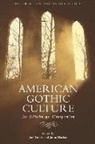 Joel Faflak, Faflak Joel, Jason Haslam, Jason Faflak Haslam, Joel Faflak, Jason Haslam - American Gothic Culture