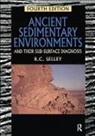 Richard C. Selley, Selley Richard C, Selley Richard C. - Ancient Sedimentary Environments