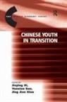 Yunxiao Sun, Xi, Jieying Xi, Jieying Sun Xi - Chinese Youth in Transition