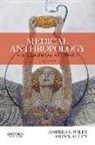 John S. Allen, Andrea S. Wiley, Andrea S./ Allen Wiley - Medical Anthropology