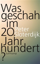 Peter Sloterdijk - Was geschah im 20. Jahrhundert?