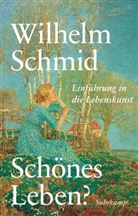 Wilhelm Schmid - Schönes Leben?