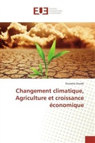 Oussama Zouabi - Changement climatique, Agriculture et croissance économique