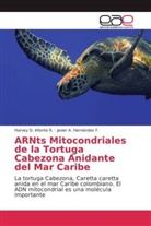 Javier A Hernández F, Javier A. Hernández F., Harvey Infante R, Harvey D Infante R, Harvey D. Infante R. - ARNts Mitocondriales de la Tortuga Cabezona Anidante del Mar Caribe
