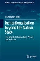 Elain Fahey, Elaine Fahey - Institutionalisation beyond the Nation State