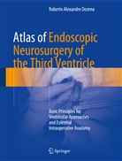 Roberto Alexandre Dezena - Atlas of Endoscopic Neurosurgery of the Third Ventricle