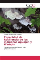 Edward Enrique Rojas de la Puente - Capacidad de Resiliencia de los indígenas Aguajún y Wampis