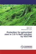 Mohammed Ebn Touhami, Haya Larhzil, Hayat Larhzil, Rachi Touir, Rachid Touir - Protection for galvanized steel in 3.0 % NaCl solution by SG/CTAB