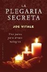 Joe Vitale - SPA-PLEGARIA SECRETA