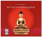 Lama Ole Nydahl, Ole Nydahl, Mike Maas - Von Tod und Wiedergeburt, MP3-CD (Hörbuch)