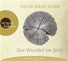 Thich Nhat Hanh, Rahel Comtesse, Herbert Schäfer - Das Wunder im Jetzt, 2 Audio-CDs (Hörbuch)