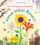 Katie Daynes, Christine Pym - Warum blühen Blumen?