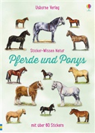 Joanna Spector, Sue Testar - Sticker-Wissen Natur: Pferde und Ponys