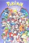 Satoshi Yamamoto - Pokemon : el libro de arte