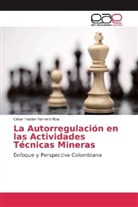 César Fabián Romero Roa - La Autorregulación en las Actividades Técnicas Mineras