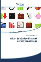 Andrea Némethné Gál - A kis- és középvállalatok versenyképessége