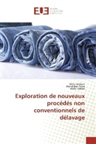Mane Ben Ticha, Manel Ben Ticha, Wafa Haddar, Mah Jaidane, Maha Jaidane - Exploration de nouveaux procédés non conventionnels de délavage