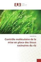 Sophia Henry - Contrôle moléculaire de la mise en place des tissus racinaires du riz