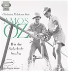 Amos Oz, Christian Brückner - Wo die Schakale heulen, 1 Audio-CD, 1 MP3 (Audiolibro)