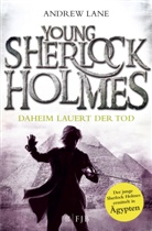 Andrew Lane - Young Sherlock Holmes - Daheim lauert der Tod