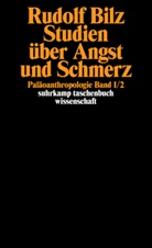 Rudolf Bilz - Studien über Angst und Schmerz